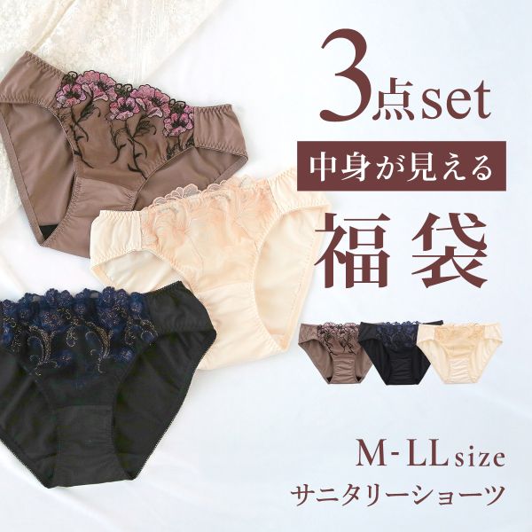 選べる4タイプ サニタリーショーツ福袋 3枚セット 刺繍レース＆ワントーンレース レディース 生理用ショーツ 普通の日用 軽い日用 M L LL