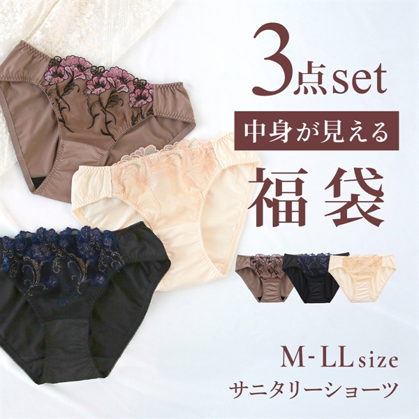 選べる6タイプ サニタリーショーツ福袋 3枚セット 刺繍レース＆ワントーンレース レディース 生理用ショーツ 普通の日用 軽い日用 M L LL