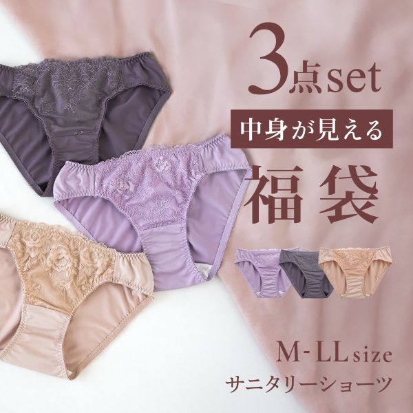 選べる4タイプ サニタリーショーツ福袋 3枚セット 刺繍レース＆ワントーンレース レディース 生理用ショーツ 普通の日用 軽い日用 M L LL