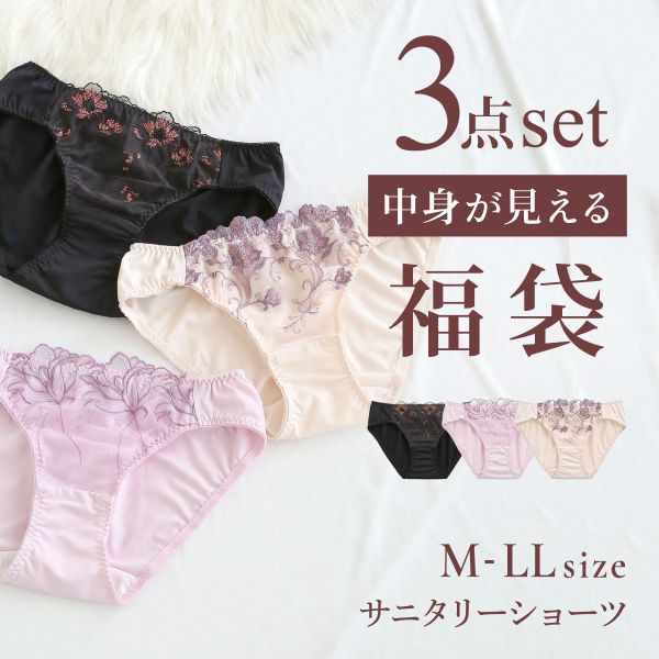選べる4タイプ サニタリーショーツ福袋 3枚セット 刺繍＆ワントーンレース レディース 生理用 普通の日用 軽い日用 M L LL