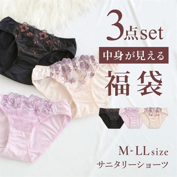選べる6タイプ サニタリーショーツ福袋 3枚セット 刺繍レース＆ワントーンレース レディース 生理用ショーツ 普通の日用 軽い日用 M L LL