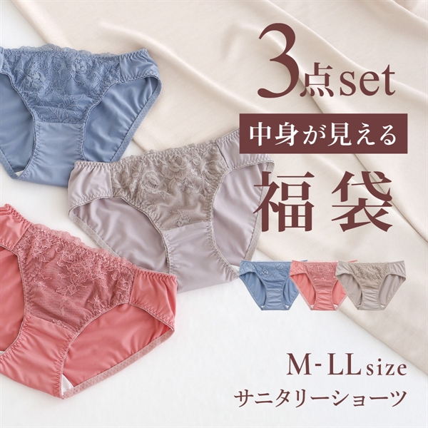 選べる6タイプ サニタリーショーツ福袋 3枚セット 刺繍レース＆ワントーンレース レディース 生理用ショーツ 普通の日用 軽い日用 M L LL