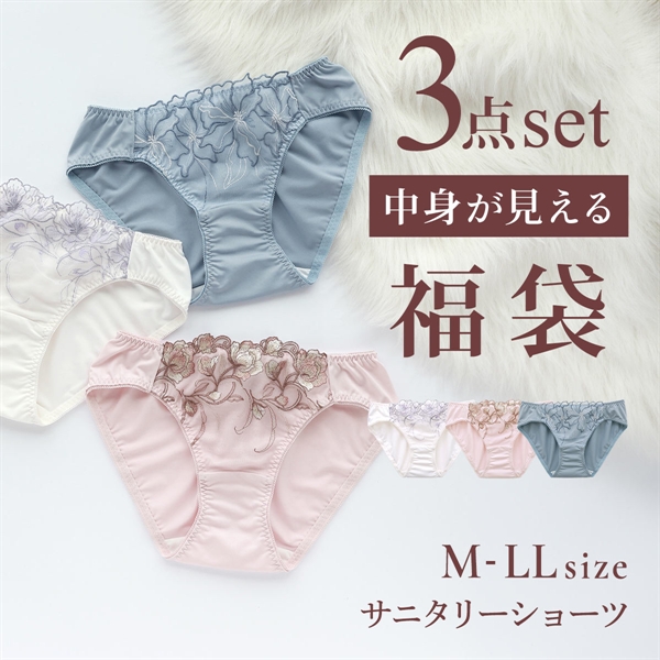 選べる6タイプ サニタリーショーツ福袋 3枚セット 刺繍レース＆ワントーンレース レディース 生理用ショーツ 普通の日用 軽い日用 M L LL