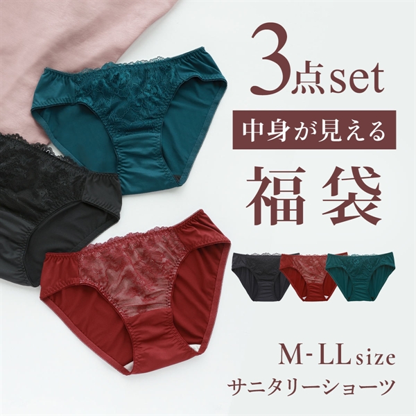 選べる6タイプ サニタリーショーツ福袋 3枚セット 刺繍レース＆ワントーンレース レディース 生理用ショーツ 普通の日用 軽い日用 M L LL