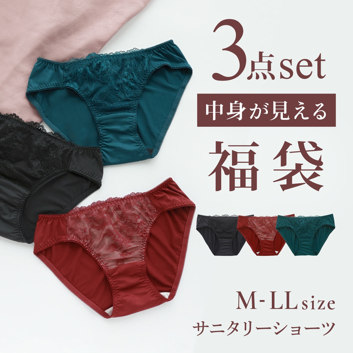 選べる6タイプ サニタリーショーツ福袋 3枚セット 刺繍レース＆ワントーンレース レディース 生理用ショーツ 普通の日用 軽い日用 M L LL(Fタイプ-M)