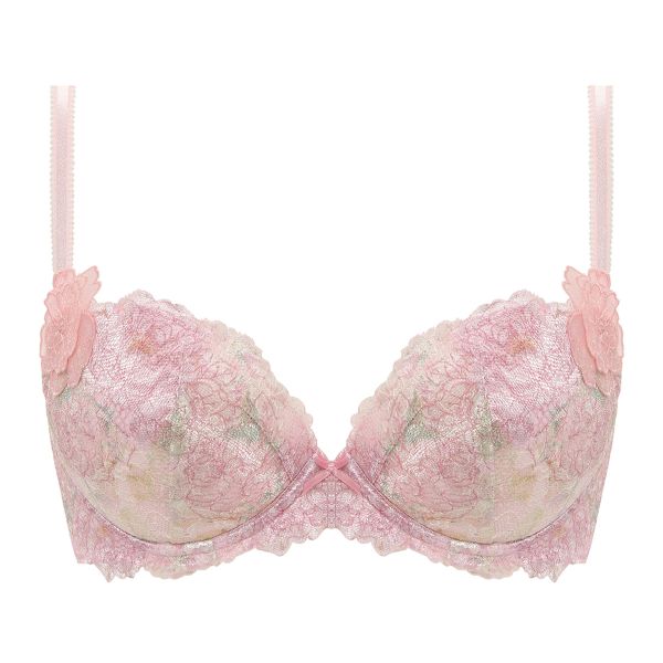 トリンプ Triumph TR0088 プレミアムデザイン レッドレーベル ブラジャー BC 単品