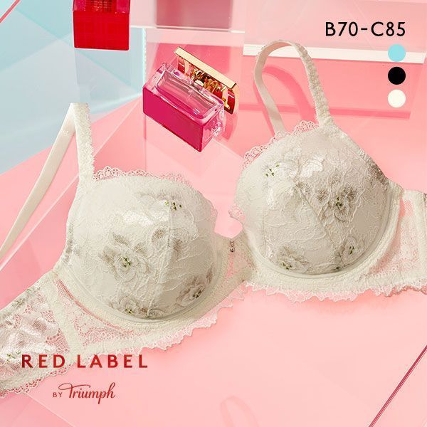 トリンプ Triumph TR0100 プレミアム レッドレーベル ブラジャー BC 単品