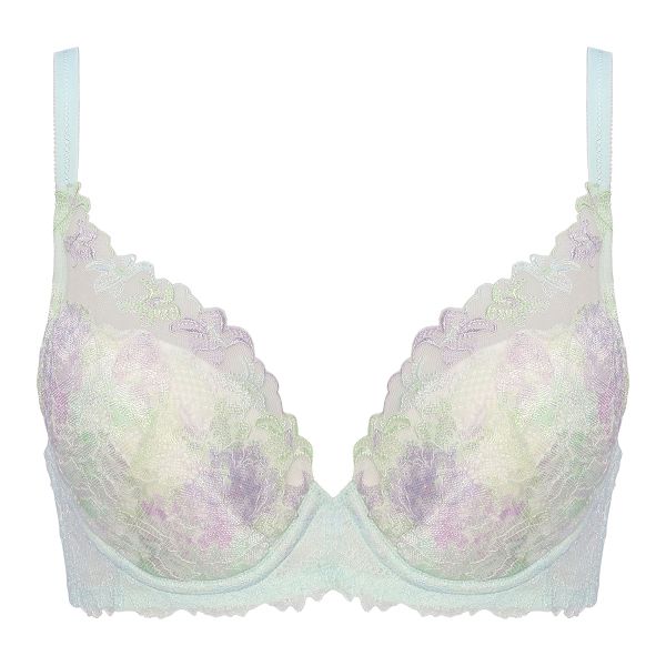 トリンプ Triumph TR0101 レッドレーベル バイ トリンプ ブラジャー DEF 単品