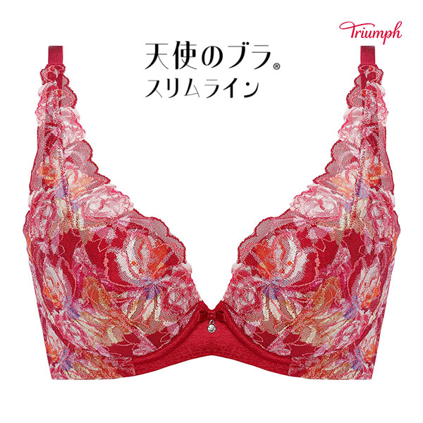トリンプ Triumph TR582-2 天使のブラ スリムライン ブラジャー DEF 単品