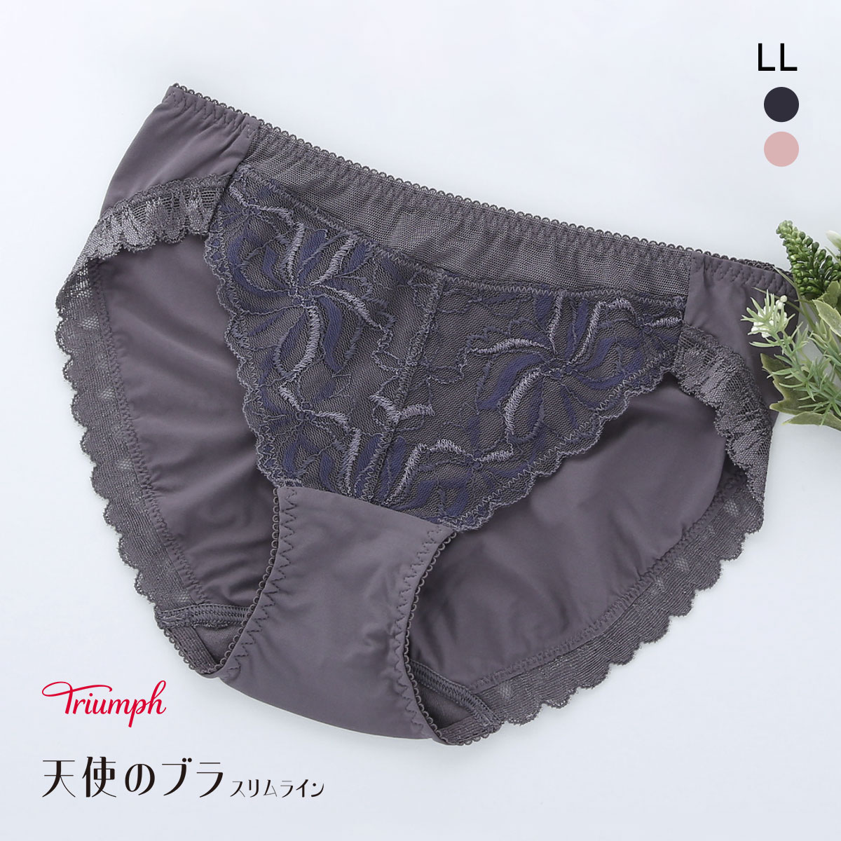 トリンプ Triumph TR582 天使のブラ スリムライン ショーツ スタンダード LL 単品(DGY-濃グレー-LL)