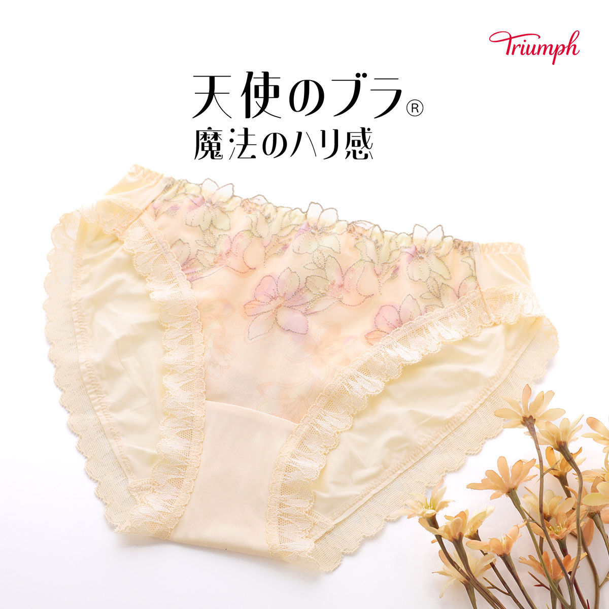 トリンプ Triumph TR596 天使のブラ 魔法のハリ感 ショーツ スタンダード レギュラー ノーマル ML 単品(BE-ベージュ-M)