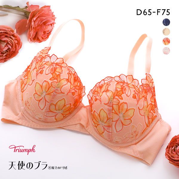 トリンプ Triumph TR596 天使のブラ 魔法のハリ感 ブラジャー DEF 単品