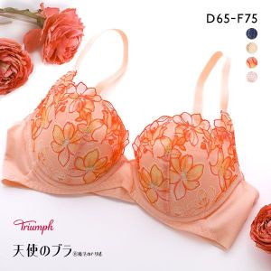 トリンプ Triumph TR596 天使のブラ 魔法のハリ感 ブラジャー DEF 単品
