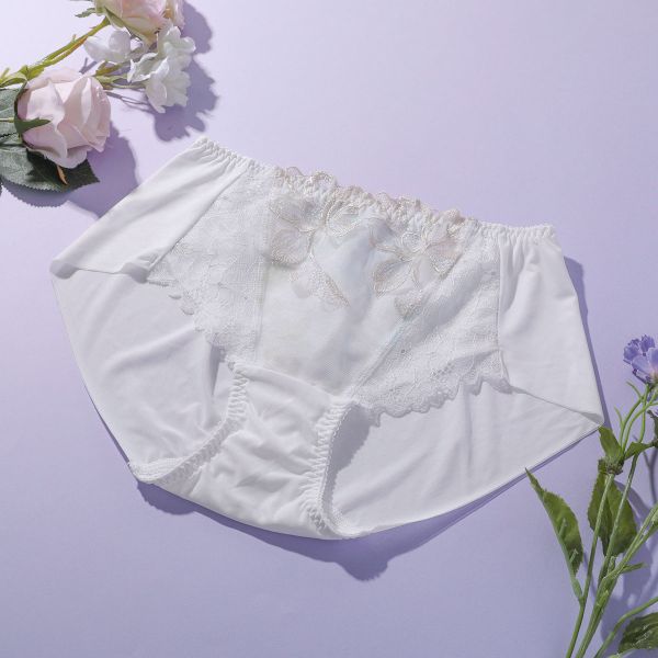 トリンプ Triumph TR606 天使のブラ 魔法のハリ感 ショーツ ボーイズレングス ヒップハング ヘム ML 単品