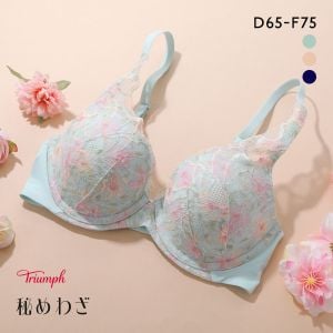 トリンプ TR628 秘めわざ ブラジャー ソフトワイヤー DEF Triumph