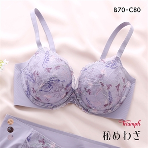 トリンプ TR638 秘めわざ レースタイプ ブラジャー コンフォートワイヤー BC Triumph