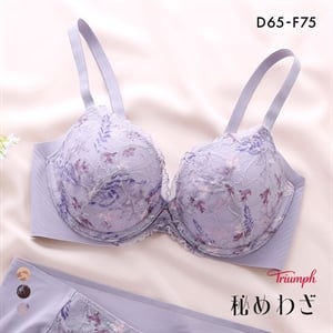 トリンプ TR638 秘めわざ レースタイプ ブラジャー コンフォートワイヤー DEF Triumph