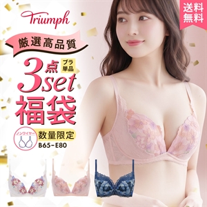 ブラジャー ノンワイヤーブラ セット 大きいサイズ 下着 レディース セット 福袋 トリンプ ノンワイヤー 3点セット Triumph 白鳩