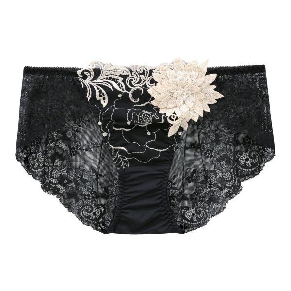 ドゥペルル DuePerle ベラ 総レースショーツ フルバック ノーマル M L バックレースショーツ ひびきにくい 単品