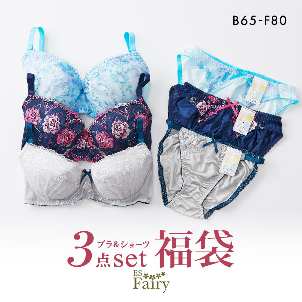 イーエスフェアリー ES Fairy 福袋 ブラジャー ショーツ 3点セット おまかせ ブラセット