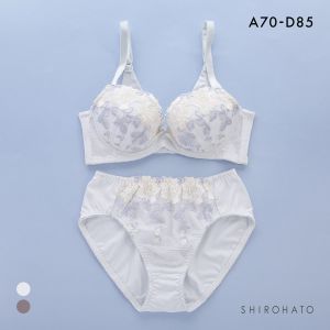 うしろ姿美 うっとり体験 すっきり美背中 ブラジャー ショーツ セット ABCD 脇高 脇肉 アンダー大きいサイズ グラマー 谷間 着やせ アンチエイジング