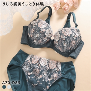 うしろ姿美 うっとり体験 すっきり美背中 ブラジャー ショーツ セット ABCD 脇高 脇肉 アンダー大きいサイズ グラマー 谷間 着やせ アンチエイジング