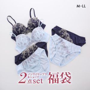 おまかせ 福袋 ブラショーツ 2組 セット ノンワイヤーブラ