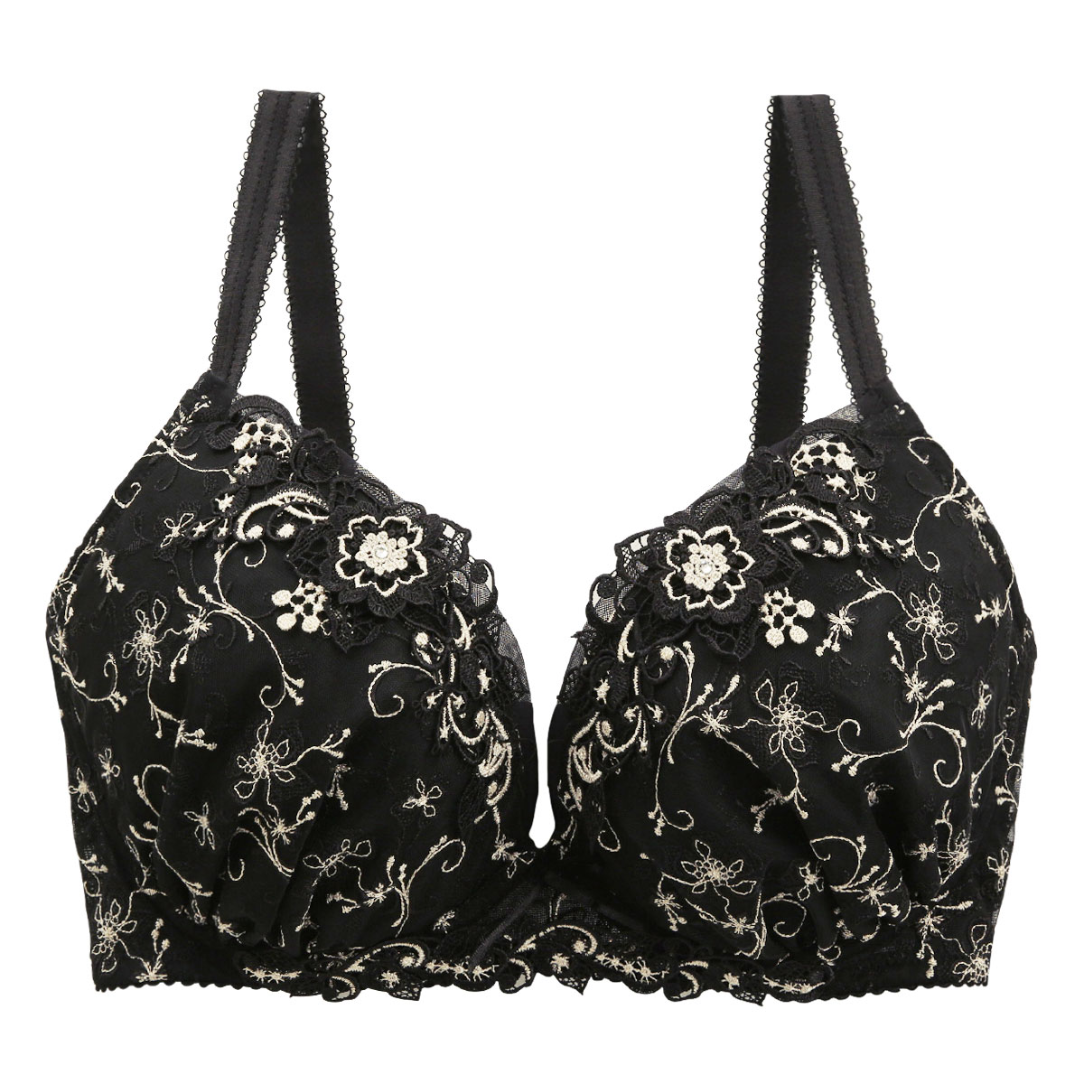 リサマリ Risa Magli レーヌ Reine ノエラ ブラジャー GH 単品(BK-ブラック-G65)