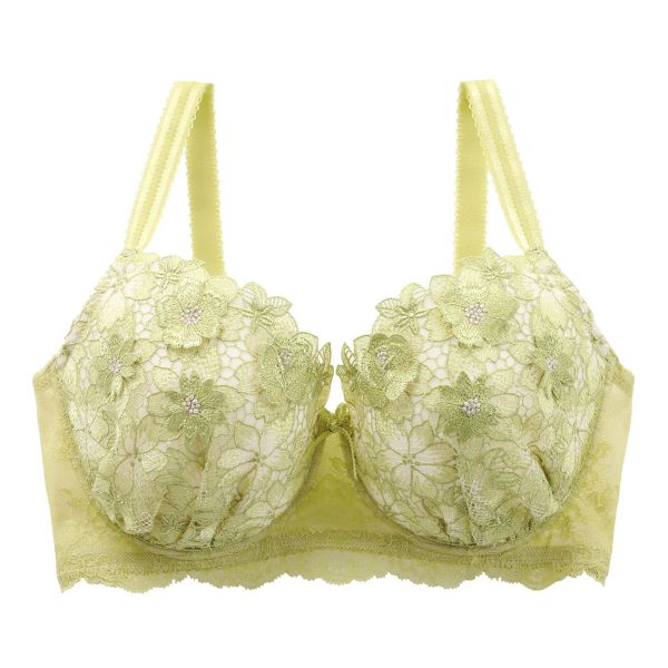 リサマリ Risa Magli レーヌ Reine セリーナ ブラジャー GH 単品