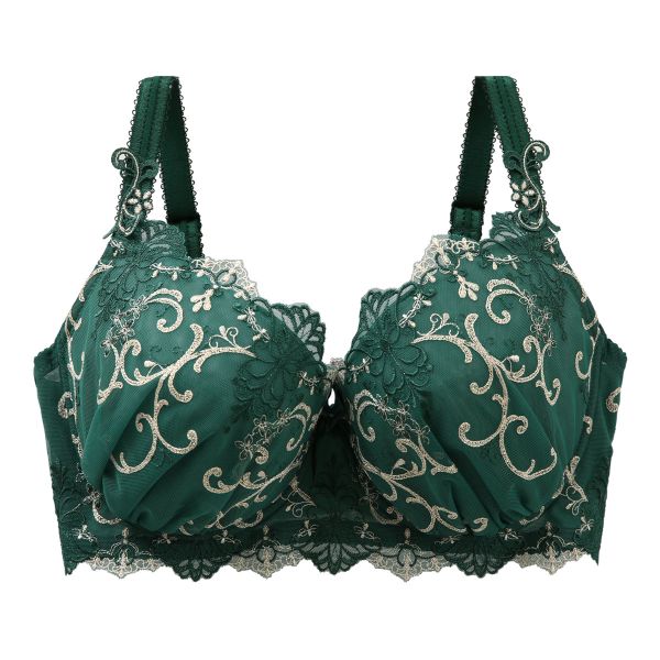 リサマリ Risa Magli レーヌ Reine シュトレン ブラジャー GH 単品