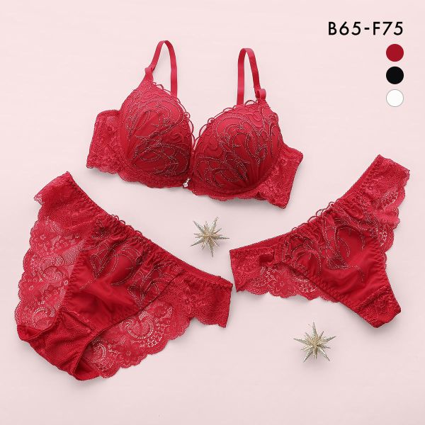 クラシックラメ刺繍 ブラジャー ショーツ セット Tバック 3点セット BCDEF 大きいサイズ バックレース