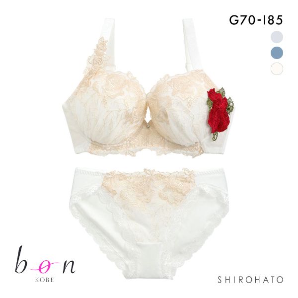 ビーオーエヌ bon 美胸 脇寄せ バストメイクブラ バラモチーフ シリーズ ブラジャー ショーツ セット GHI 脇すっきり 脇高 脇肉