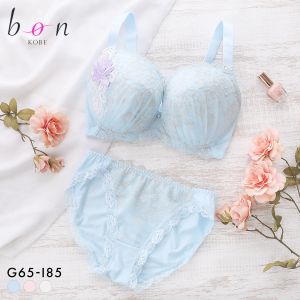 ビーオーエヌ 美胸 脇寄せ バストメイクブラ 大輪のバラ シリーズ ブラジャー ショーツ セット GHI 脇すっきり グラマー bon