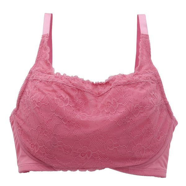 パリーゼ Palissee 大きな胸を小さく見せるブラ 脇高 脇肉 胸元カバー ブラジャー GH 総レース 大きいサイズ