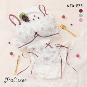 パリーゼ レザンリュバン ブラセット ABCDEF ブラジャー ショーツ セット サイドリボン Palissee