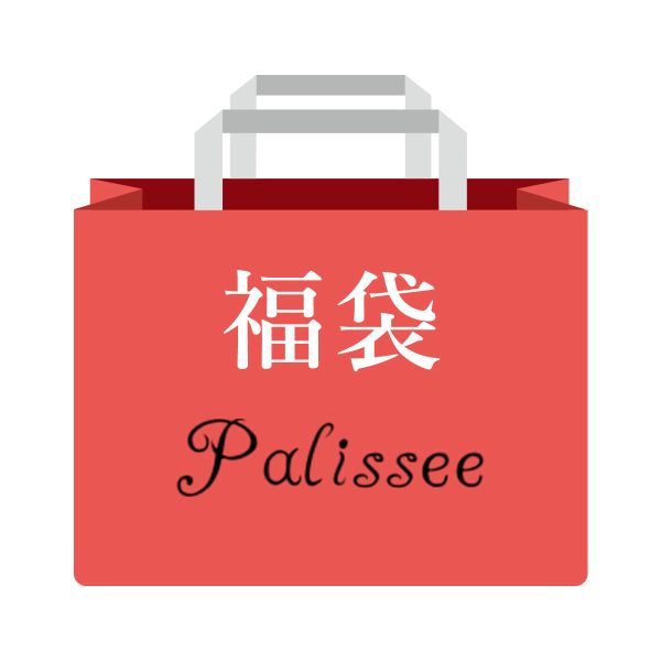 パリーゼ Palissee 福袋 ノンワイヤー ブラジャー ショーツ セット 3点セット おまかせ 刺繍レース M L LL