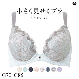 ワコール Wacoal 小さく見せるブラ BRB329 フルカップ ブラジャー G 単品