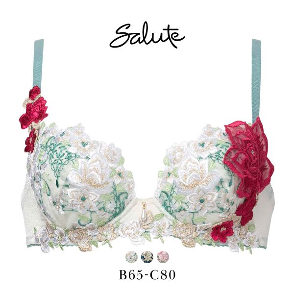 ワコール サルート 16グループ 16G P-UP ブラジャー プッシュアップ BC 谷間 Wacoal Salute BTJ416 25SSシーズン