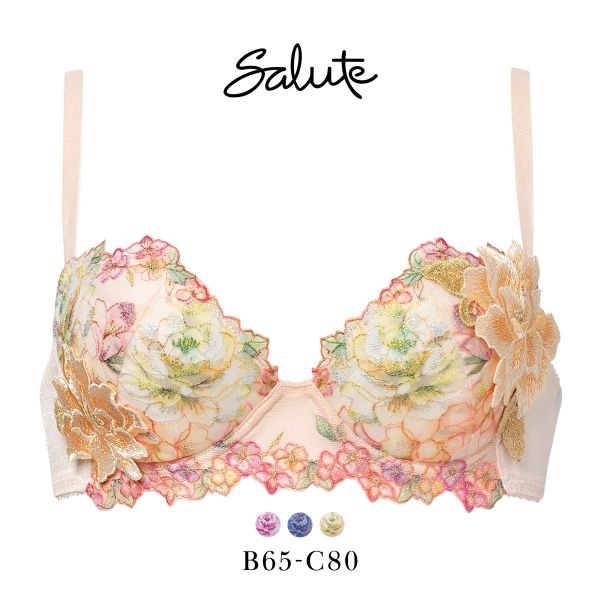 ワコール サルート 21グループ 21G P-UP ブラジャー プッシュアップ BC 谷間 Wacoal Salute BTJ421 25AW先行コア