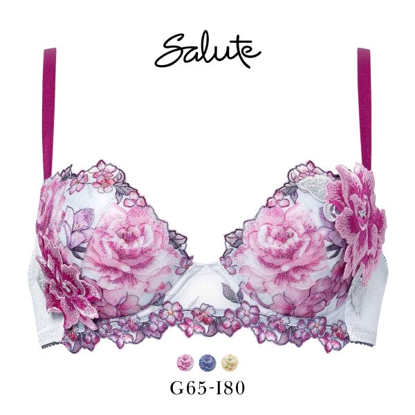 【新品タグ付】 ワコール／Salute★ P- UP・ライトベージュ・G65M 新品タグ付】 ワコール／Salute☆ P- UP・ライトベージュ・G65M