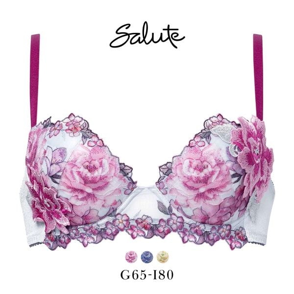 ワコール サルート 21グループ 21G P-UP ブラジャー プッシュアップ GHI 大きいサイズ 谷間 Wacoal Salute BTJ421 25AW先行コア