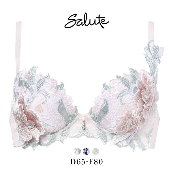 ワコール サルート 22グループ 22G P-UP ブラジャー DEF プッシュアップ 谷間 Wacoal Salute BTJ422 25AW先行プレステージ