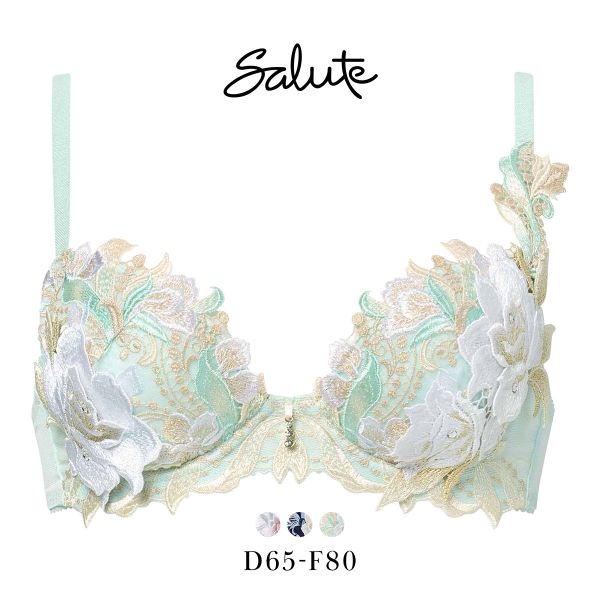 ワコール サルート 22グループ 22G P-UP ブラジャー DEF プッシュアップ 谷間 Wacoal Salute BTJ422 25AW先行プレステージ