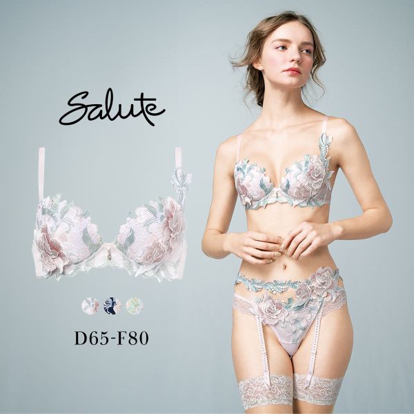 ワコール サルート 22グループ 22G P-UP ブラジャー DEF プッシュアップ 谷間 Wacoal Salute BTJ422 25AW先行プレステージ