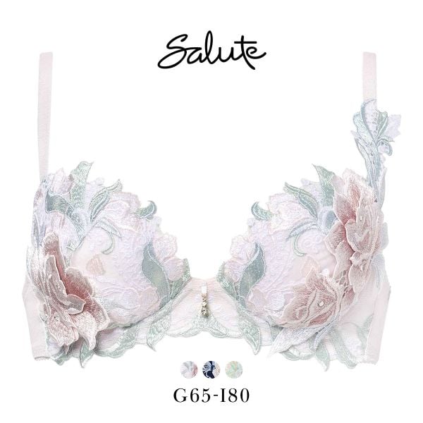 ワコール サルート 22グループ 22G P-UP ブラジャー GHI プッシュアップ 谷間 Wacoal Salute BTJ422 25AW先行プレステージ