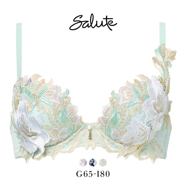 ワコール サルート 22グループ 22G P-UP ブラジャー GHI プッシュアップ 谷間 Wacoal Salute BTJ422 25AW先行プレステージ