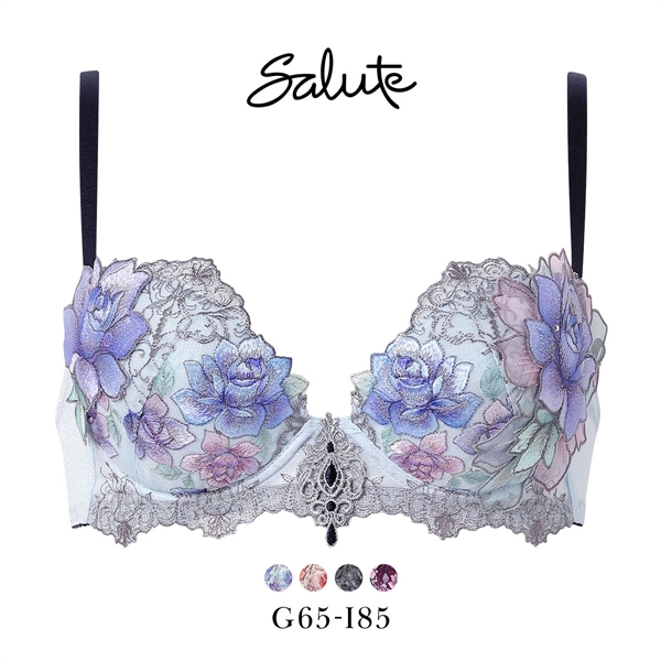 ワコール サルート 23グループ 23G P-UP ブラジャー GHI プッシュアップ 谷間 大きいサイズ Wacoal Salute BTJ423 25AWフェア