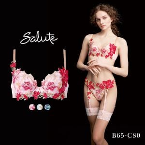 ワコール サルート 26グループ 26G P-UP ブラジャー BC プッシュアップ 谷間 Wacoal Salute BTJ426 25AWシーズン