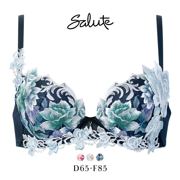 ワコール サルート 26グループ 26G P-UP ブラジャー DEF プッシュアップ 谷間 Wacoal Salute BTJ426 25AWシーズン 大きいサイズ