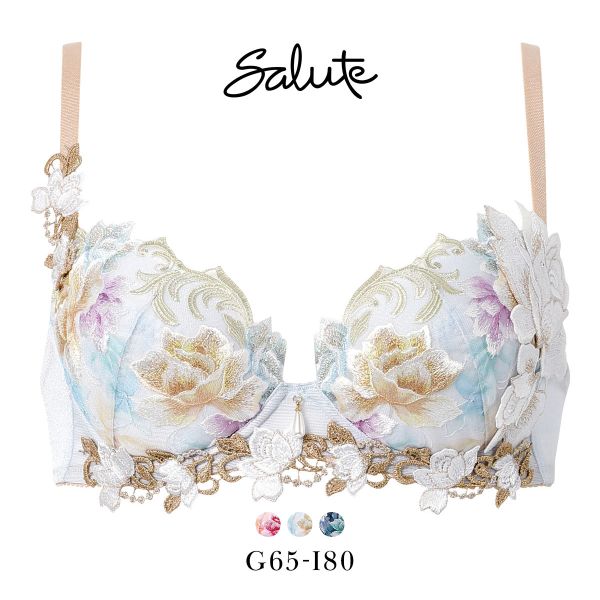 ワコール サルート 26グループ 26G P-UP ブラジャー GHI プッシュアップ 谷間 Wacoal Salute BTJ426 25AWシーズン 大きいサイズ